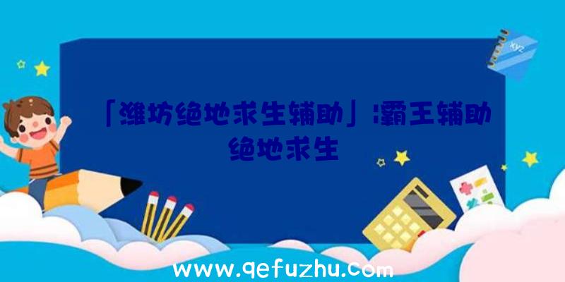 「潍坊绝地求生辅助」|霸王辅助绝地求生